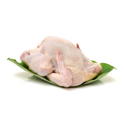 FRESH CHICKEN (WHOLE BIRD) 2KG