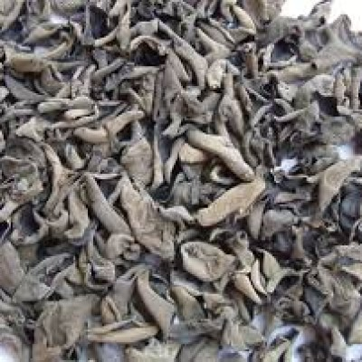FUNGUS HITAM KECIL (1KG)