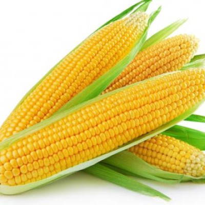 Corn Sweet [KLANG VALLEY ONLY]