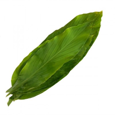 Leaf Turmeric Daun Kunyit (Sold Per KG) [KLANG VALLEY ONLY]