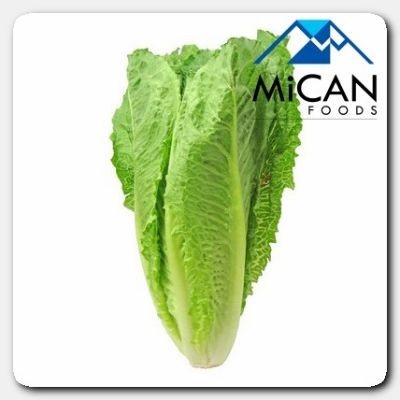 Romaine Lettuce (2.5KG Per Unit)