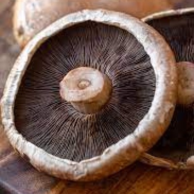 Mushroom Portobello (Sold Per KG) [KLANG VALLEY ONLY]
