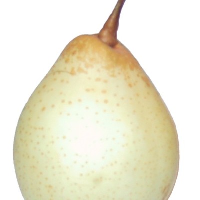 Pear Ya [KLANG VALLEY ONLY]