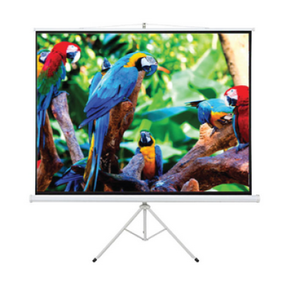 RONALD JACK - Tripod Screen (Size : 6x6)