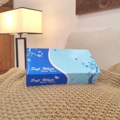 2Ply Facial Tissue (Box)