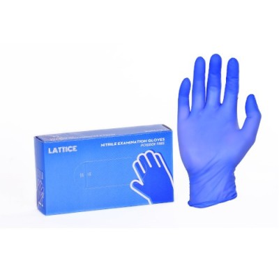 Nitrile Powder Free Gloves 1ctn 10box per ctn [KLANG VALLEY ONLY]