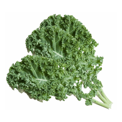 Kale Curly (Sold Per KG) [KLANG VALLEY ONLY]