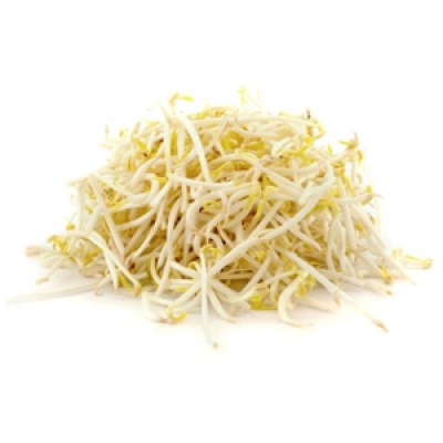Sprout Mung Bean Taugeh (MSM) (Sold Per KG) [KLANG VALLEY ONLY]