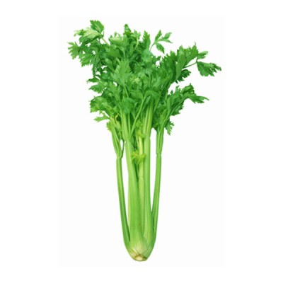 Celery (Sold Per KG) [KLANG VALLEY ONLY]