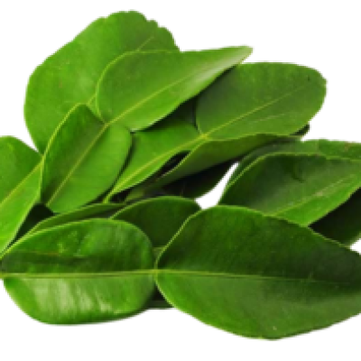 Leaf Kaffir Lime Daun Limau Purut (Sold Per KG) [KLANG VALLEY ONLY]