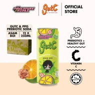 Gutc Asam Boi - Prebiotic Soda 250ml