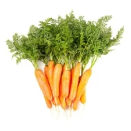 CARROT BABY WITH LEAVES (sell by KG)