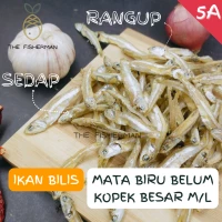 [Borong Wholesale] Ikan Bilis Mata Biru Belum Kopek 5A Size L ( 1KG Pack)- The Fisherman
