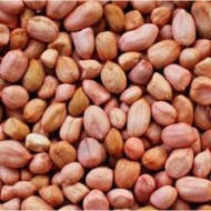 KACANG TANAH INDIA (1 KG)