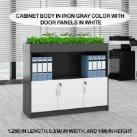 New Office Simple Modern Partition Cabinet File