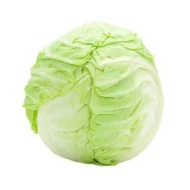 CABBAGE BEIJING (sell by KG)