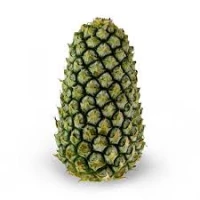 PINEAPPLE MORRIS (1 pcs per unit)