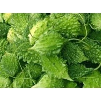 Small Bittergourd (sold by kg)