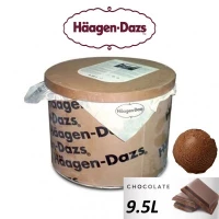 Haagen-Dazs Chocolate Ice Cream 9.5L Tub (sold per tub) Imported from France