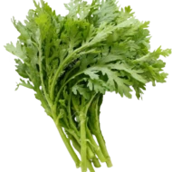 Chrysanthemum Garland Tong Hou (Sold Per KG) [KLANG VALLEY ONLY]