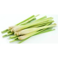 Serai 500g bundle (sold by bundle)