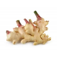 Young Ginger Halia 500g [KLANG VALLEY ONLY]