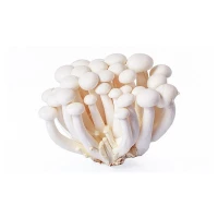 Mushroom Shimeiji White [200g pkt] [KLANG VALLEY ONLY]