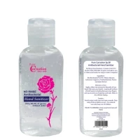 Hand Sanitizer 60ml