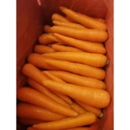 Carrot [4.5kg box] [KLANG VALLEY ONLY]