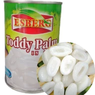 ESBERG Toddy Palm Fruit in Syrup 565gm