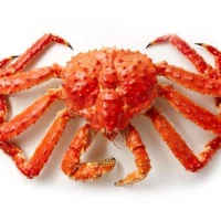 ATLANTIC KING CRAB 1.2KG