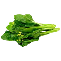 Choy Sum Flowering Sawi Bunga (Sold Per KG) [KLANG VALLEY ONLY]