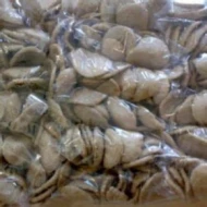 KRUPUK PERISA UDANG (1CTN X20PKT X 500G)