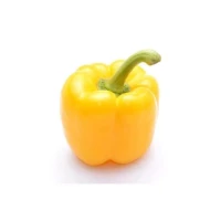 Capsicum Yellow 1pcs [KLANG VALLEY ONLY]