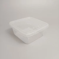 Square Take-Away Container per Food Container 1000ml 250pcs ctn [KLANG VALLEY ONLY]