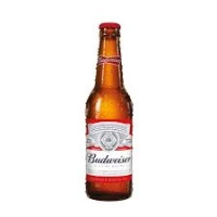 Budweiser Beer (Bottle) 355 ml x 24