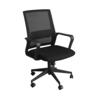 Ergonomic Mesh Low Back Swivel Chair