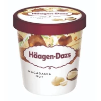 Haagen-Dazs Macadamia Nut Mini Cup 100ml x 12