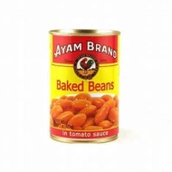 AYAM BRAND BAKED BEANS (425G)