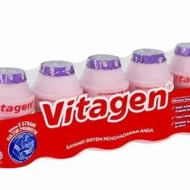 VITAGEN REGULAR - GRAPE (5 ROW X 5BTL X 125ML)
