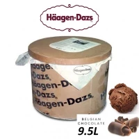 Haagen-Dazs Belgian Chocolate Ice Cream 9.5L Tub (sold per tub) Imported from France