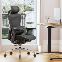 Sihoo Doro-C300 (Luxury Gaming Office Chair)