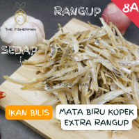 [Borong] Ikan Bilis Mata Biru Kopek Extra Ranggup 5A ( 1KG Pack) - The Fisherman