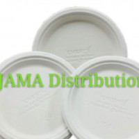 Biodegradable and Compostable 9' Plate (800 Units Per Carton)