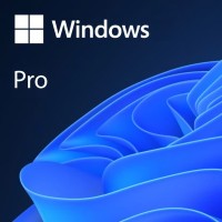 Windows 11 Professional OEM